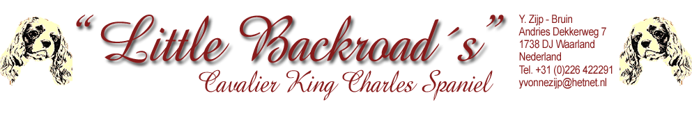 littlebackroad logo-1